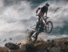 包含世锦赛最新形势：明尼苏达森林狼高居榜首，菲尼克斯太阳强势追赶，冠军归属成迷的词条